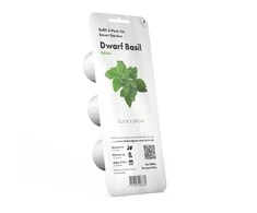 Click and Grow 3 vnt. papildymas - nykštukinio baziliko sėklos (Dwarf basil)