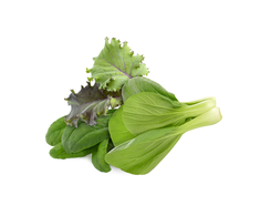 Click &amp; Grow sėklos išmaniajam vazonui - Salotų mišinys, 3vnt.