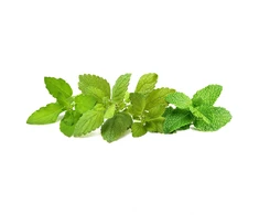 Click &amp; Grow sėklos išmaniajam vazonui - Raminančių arbatinių žolelių mišinys (PPMCTX9) 9vnt.