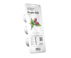 Click &amp; Grow sėklos išmaniajam vazonui - Violetiniai čili pipirai (SGR46X3) 3vnt.
