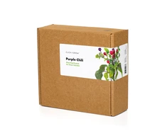Click &amp; Grow sėklos išmaniajam vazonui - Violetiniai čili pipirai (SGR46X3) 3vnt.