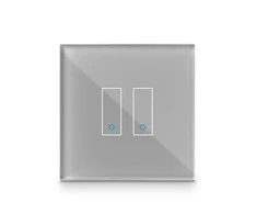 Iotty Smart Switch Faceplate 2-gang - Pilkas