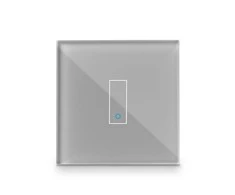 Iotty Smart Switch Faceplate 1-gang - Pilkas