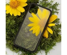 Pela Clear - Ekologiškas iPhone 11 Pro dėklas - Juodas