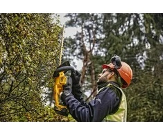 Akumuliatorinės gyvatvorių žirklės Dewalt 5035048728840
