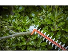Black &amp; Decker BD GYVONŲ ŽIRKLĖS 650W / 60cm / 25mm