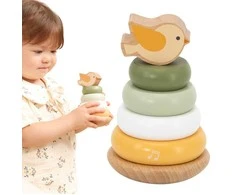 Dėlionė Viga Toys Medinė edukacinė piramidė VIGA PolarB