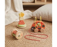 Tooky Toys TOOKY TOY 3in1 lavinamasis žaidimų rinkinys Boružėlė