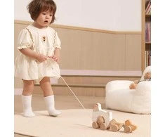 Viga Toys VIGA PolarB medinė vištelė su viščiukais traukimui