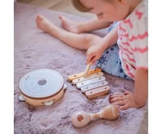 Viga Toys VIGA PolarB muzikinių instrumentų rinkinys su ežiuku
