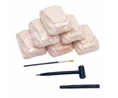 Woopie wykopalisko 6in1 dinozaurų skeletas Mažas archeologas 6 PCS.