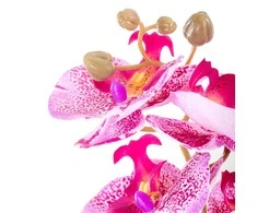 ARTFLOWER/AH/FALENI/PLUM/1PC