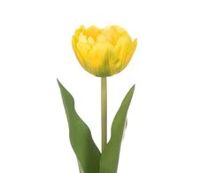 AmeliaHome ARTFLOWER/AH/TULIPI/HONEY/1PC
