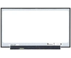 AUO Ekranas 17.3", 1600x900, 60Hz, matinis, 30pin, kairėje