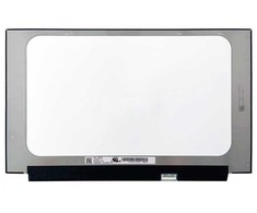 AUO Ekranas 15.6", 1920x1200, 300Hz, matinis, 40pin, dešinėje, IPS