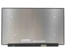 BOE Ekranas 15.6", 1920x1080, 165Hz, matinis, 40pin, dešinėje, IPS