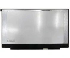 BOE Ekranas 17.3", 2560x1440, 165Hz, matinis, 40pin, dešinėje, IPS