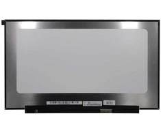 BOE Ekranas 17.3", 1920x1080, 144Hz, matinis, 40pin, dešinėje, IPS