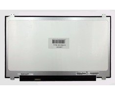 AUO Ekranas 17.3", 1600x900, 60Hz, blizgus, 30pin, kairėje, IPS