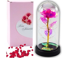 Lean Amžina krištolinė rožė kupole su LED apšvietimu rožinė 21x11cm