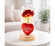 Lean Amžinoji rožė LED apšvietimo kupole su širdimi ir „Love“ užrašu