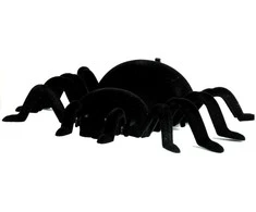 Lean Toys Interaktyvus nuotoliniu būdu valdomas voras tarantulas, 15x19 cm