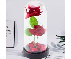 Lean Eternal 2 Roses in Dome with LED apšvietimas and Rose Petals Raudona 21x11cm
