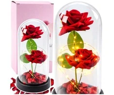 Lean Eternal 2 Roses in Dome with LED apšvietimas and Rose Petals Raudona 21x11cm