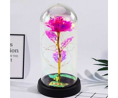 Lean Amžina krištolinė rožė kupole su LED apšvietimu rožinė 21x11cm