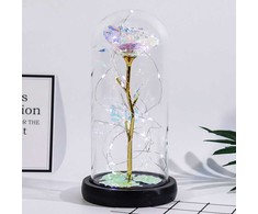 Lean Amžinoji rožė kristaliniame kupole spalvotas LED apšvietimas 21x11cm