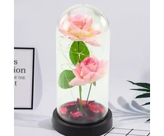 Lean Rožinė Eternal Roses in Dome with LED apšvietimas and Rose Petals Rožinė 21x11cm