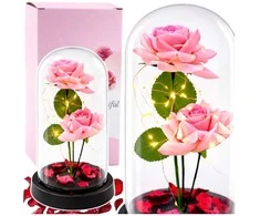 Lean Rožinė Eternal Roses in Dome with LED apšvietimas and Rose Petals Rožinė 21x11cm