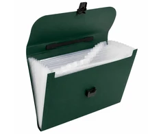 Lean Folder Organizer for Documents, 13 Compartments, Žalias, A4, Holder