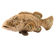 Lean Toys Žuvies figūrėlė „Jūreivis Goliatas“ pilka, 11 cm