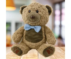 Lean Toys Pliušinis žaislas - rudas meškiukas, 30 cm