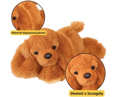 Lean Toys Pliušinis šuo su svorinėmis letenėlėmis, 30 cm