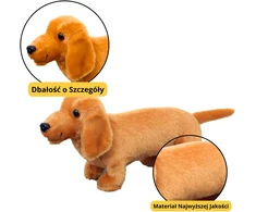 Lean Toys Pliušinis žaislas taksas 25cm