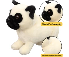 Lean Toys Žaislinis pliušinis šuo mopsas, 19 cm