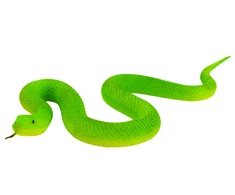 Lean Toys Guminė gyvatė, 38.5cm, žalia