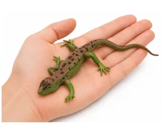 Lean Toys Figūrėlė 15 cm