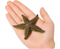 Lean Toys Jūros žvaigždės figūrėlė 9.5 cm