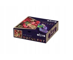 Plastilinas Okto SUCCULENTS TENDERNESS ETC10010