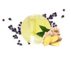 Carbaline Namų kvapas Ginger 250ml