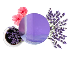 Carbaline Namų kvapas Lavender 100ml