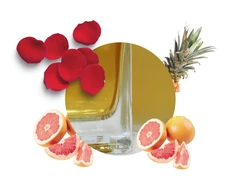 Carbaline Namų kvapas Seawood 100ml