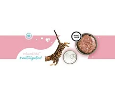 Kačių Maistas - 3COTY 04 Turkijos Drėgnas Maistas 180g Be Grūdų Be Gliuteno