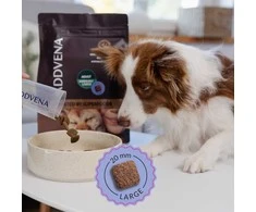Šunų maistas - ADDVENA Boosted by Superfoods Suaugusiųjų Vidutinio/Didelio Mėsos 2.5kg
