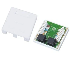 Tinklo Jungtis - Alantec GN011 Cat6 2-Port Balta