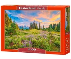 Castorland Dėlionė 2000 vnt. - Pievų žydėjimas