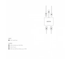 Dokų Stotis - DICOTA D32063 4-in-1 USB-C 4K HDMI Sidabrinė